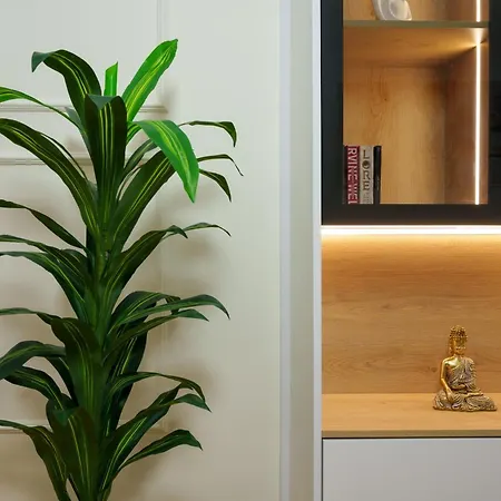 Jora Luxury Tirane * Kashar