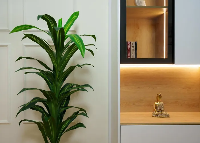 Jora Luxury Tirane * Kashar